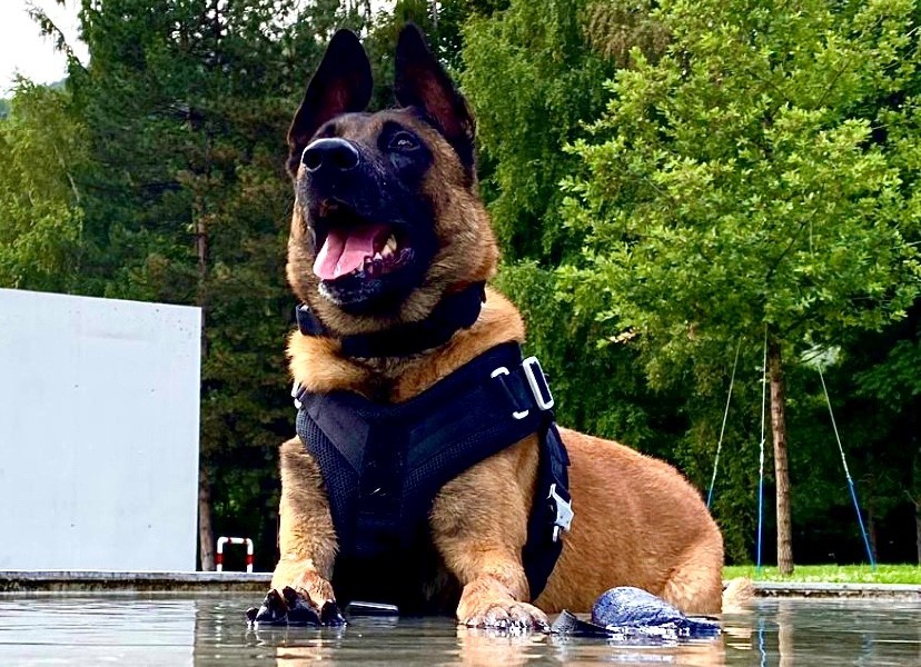 Police Cantonale Valaisanne